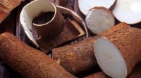 Kulit-Singkong-Sebagai-Bahan-Baku-Sumber-Serat-Pakan-Ternak