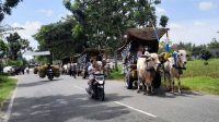 wisata-gerobag-sapi-di-jodog